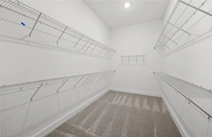 Walk in closet featuring carpet