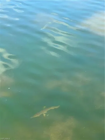 Lots of fishing in this canal