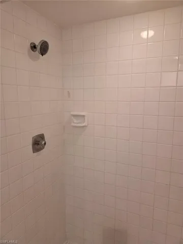 Bathroom view of tiled shower