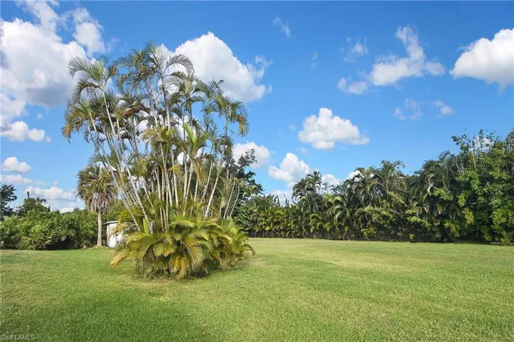 View of grassy yard