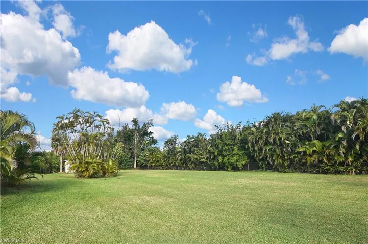 View of grassy yard