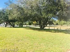 View of green lawn