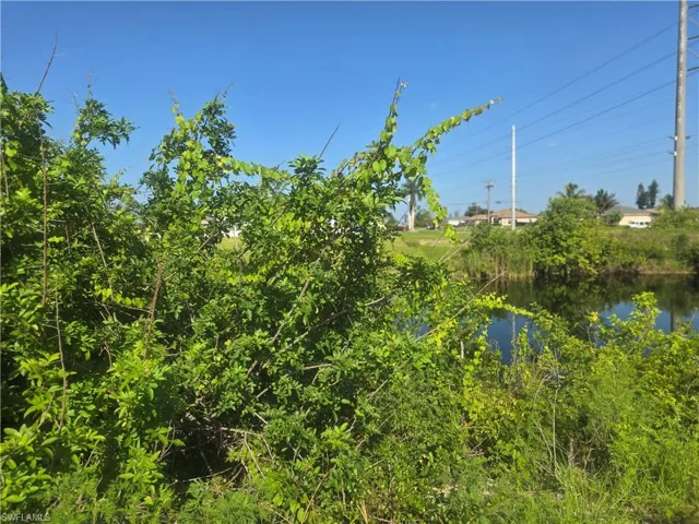 View of nature on canal