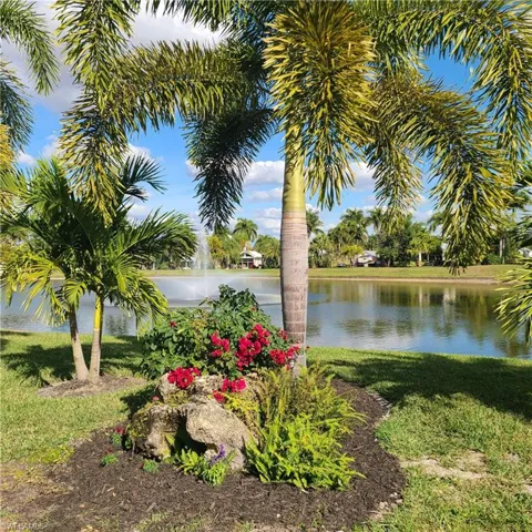 Water view