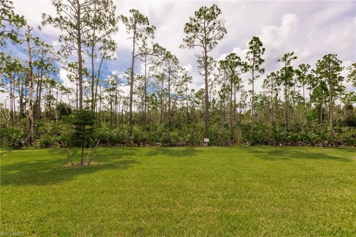 View of preserve