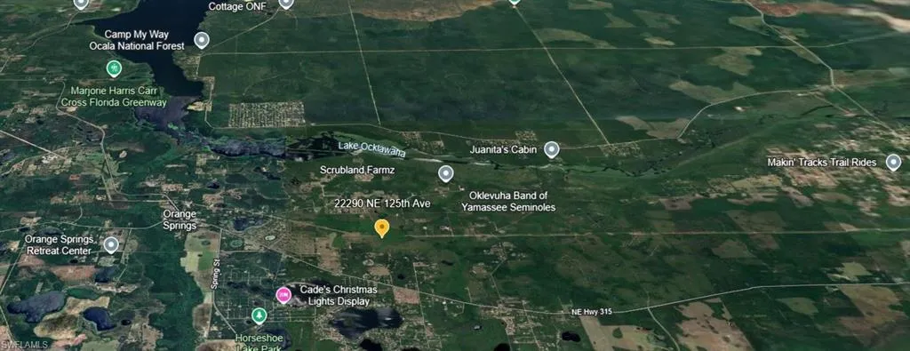 22290 NE 125th  AVE, Fort Mc Coy, FL 32134