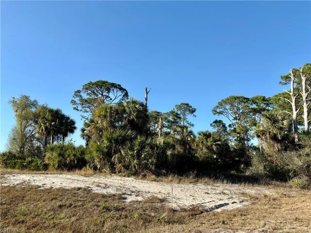 212 Citadel Pl, Labelle Fl 33935