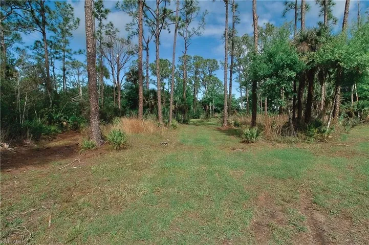 View of undeveloped land