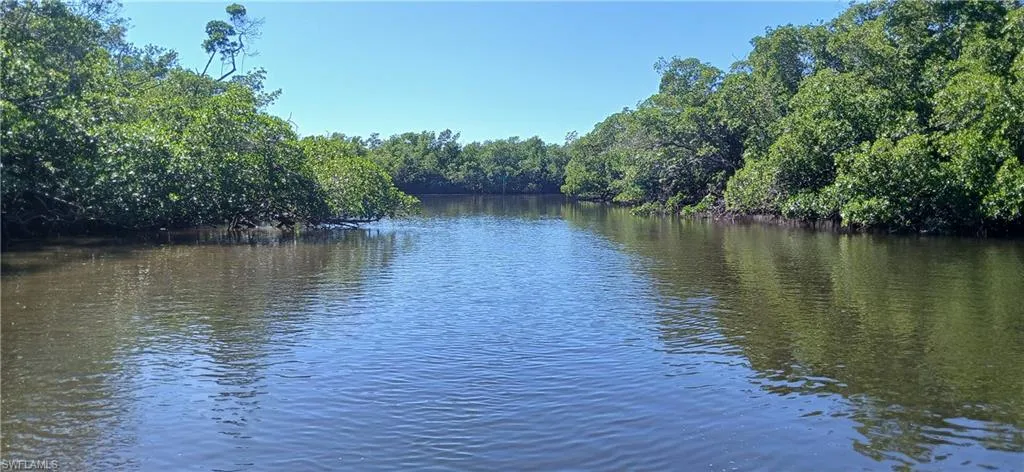 Great kayaking up Spring Creek or out to Estero Bay.