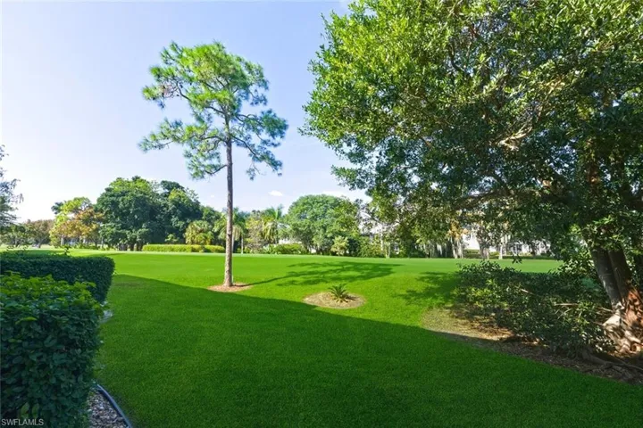 BACK YARD AND GOLF COURSE