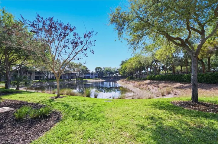 Water view