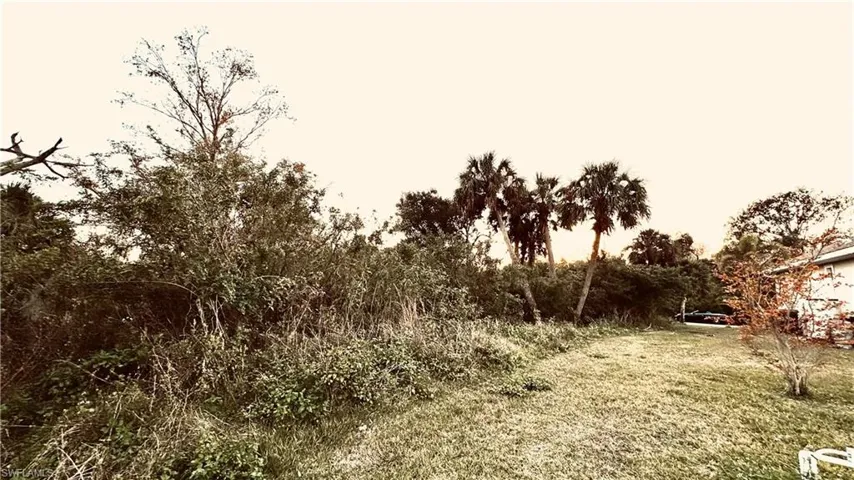 View of nature