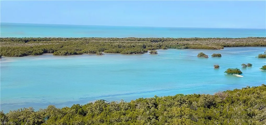 Water view with a heavily wooded area