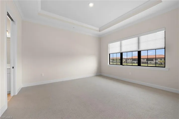 Spare room featuring light colored carpet, crown molding, baseboards, and a raised ceiling