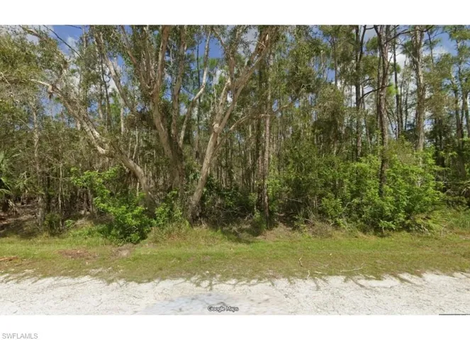 View of front of parcel, wooded area