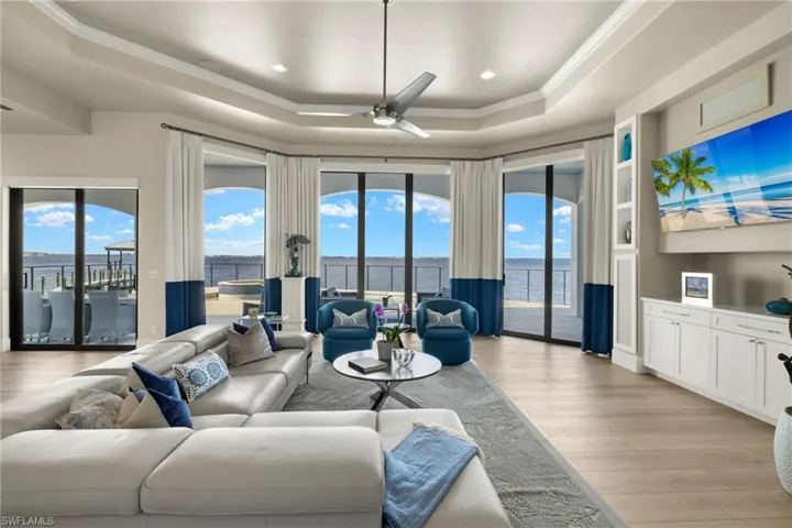 Living room featuring a tray ceiling, ceiling fan, a healthy amount of sunlight, and light hardwood / wood-style floors