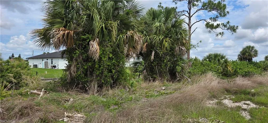 4024 Ne 17th Ave, Cape Coral, Florida 33909
