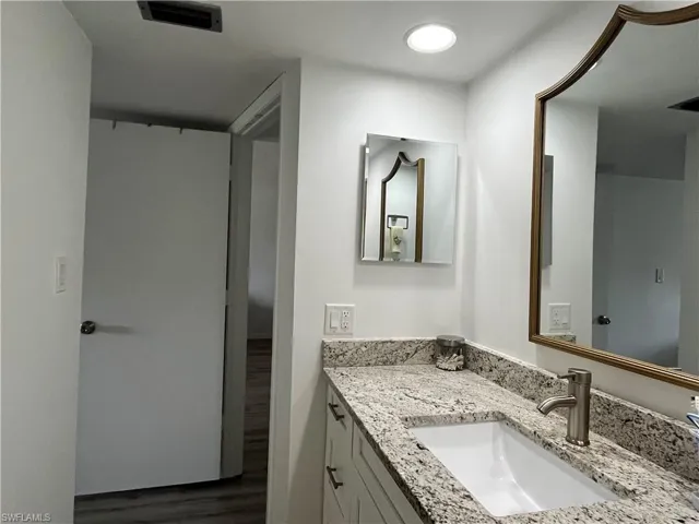 Bathroom featuring vanity and dark wood-type flooring