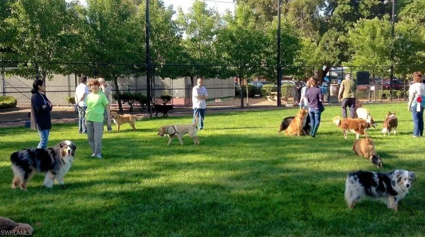Dog Park