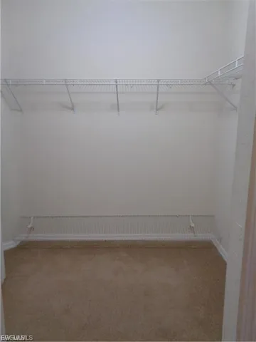 Walk in closet featuring carpet