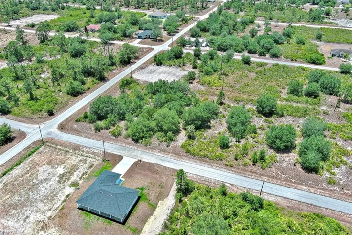 Aerial view of a tree filled landscape