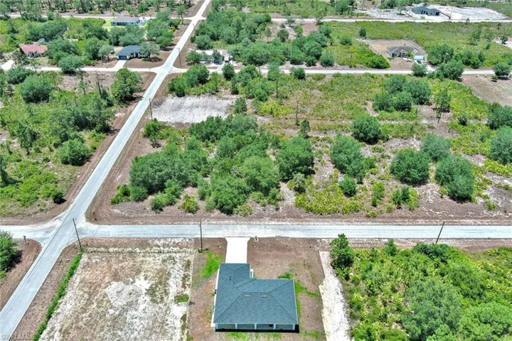 Aerial view of a tree filled landscape