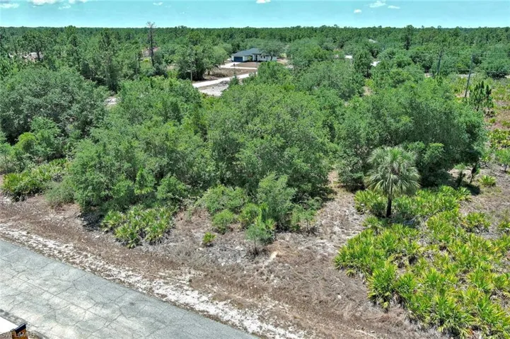 Aerial view of a heavily wooded area