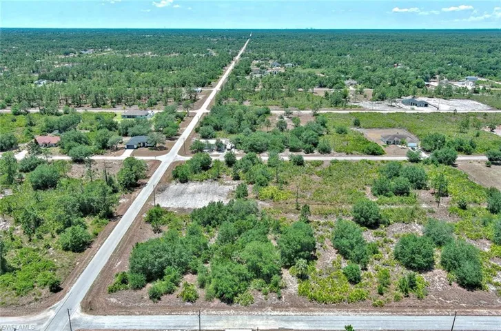 Aerial view of a forest