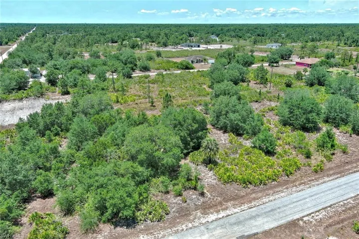 Bird's eye view of a heavily wooded area