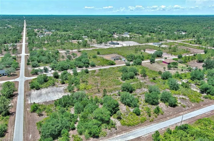 Aerial view of a forest