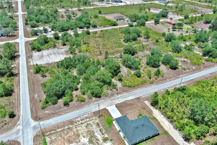 Aerial view of a tree filled landscape