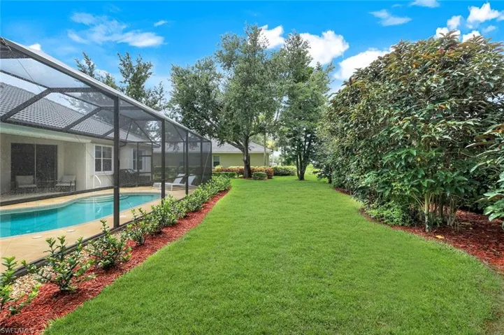 View of backyard