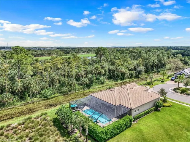Drone / aerial view, home abuts naturalist area