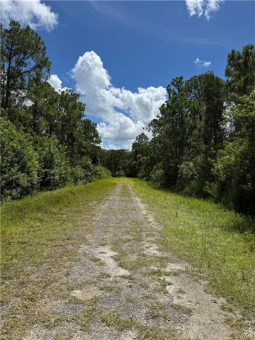 514 Woodman Dr, Lehigh Acres, Florida 33972