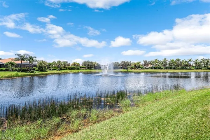Water view