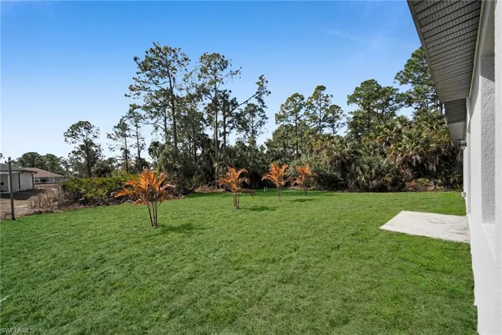 View of grassy yard
