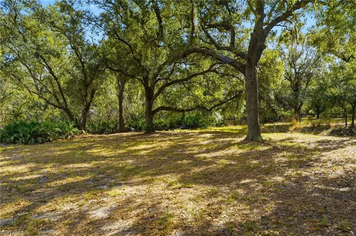 View of yard with a view of trees