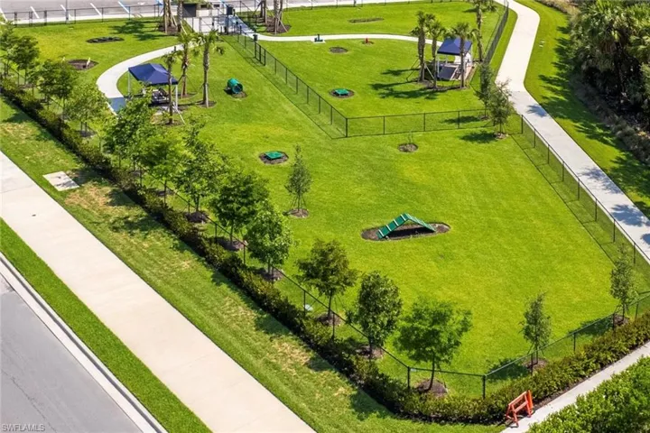 Dog Park
