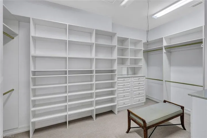 Walk in closet with light colored carpet
