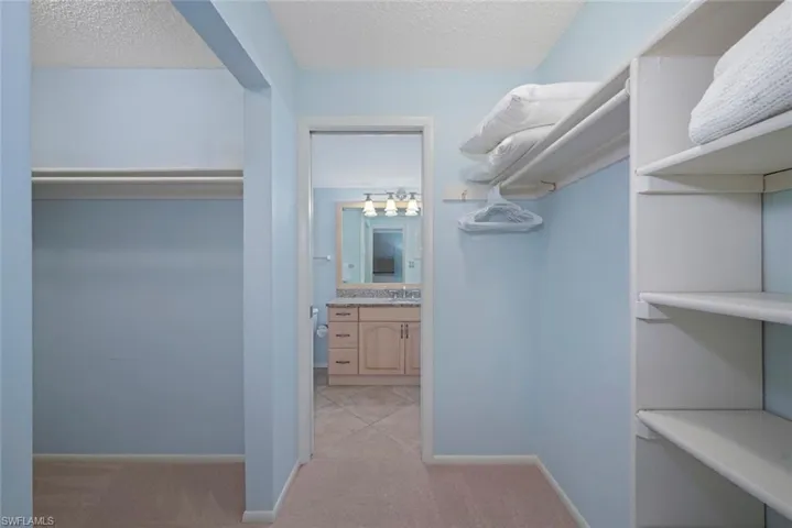 Walk in closet featuring light carpet