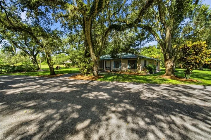 View of the driveway approach framed by mature trees