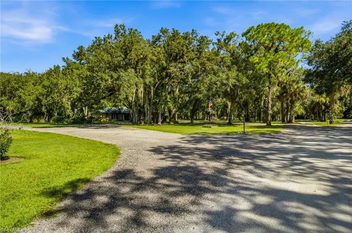 Open lawn area with mature trees and natural surroundings
