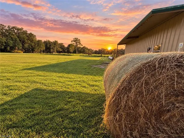 Olde Florida charm meets sustainability in this peaceful hobby farm setting.