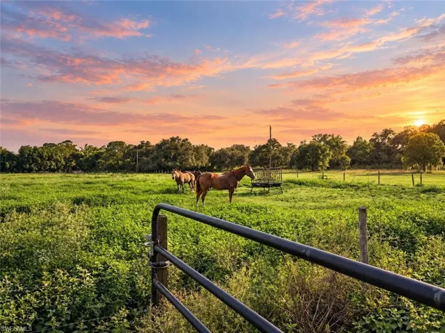 A expansive, fenced pasture delivers peaceful tranquility and sustainable farm living.