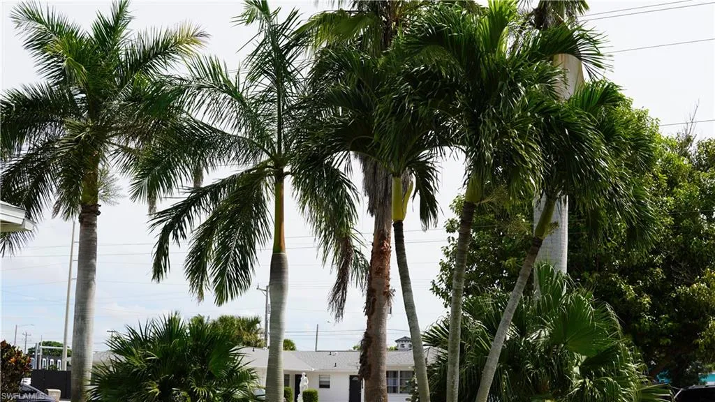 3418 15th PL, Cape Coral, FL 33904,224038996