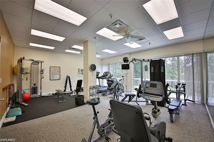 Gym with plenty of natural light, carpet floors, a paneled ceiling, and ceiling fan