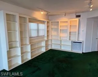 Carpeted living room with track lighting
