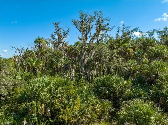 50786 Bermont RD, Punta Gorda, FL 33982
