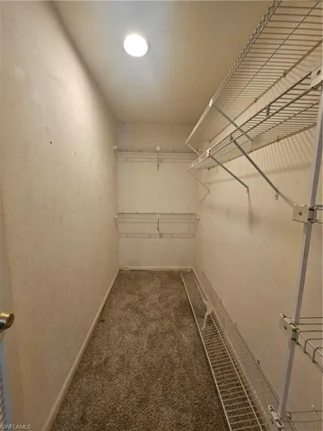 Walk in closet with carpet