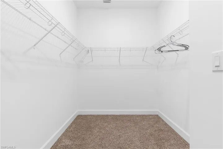 Spacious closet with carpet flooring